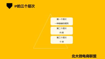 北大微電商聯(lián)盟 移動(dòng)互聯(lián)網(wǎng)時(shí)代的企業(yè)IP與品牌營銷新路徑